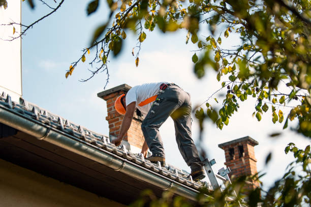 Best Roof Maintenance Services  in Grand Ronde, OR