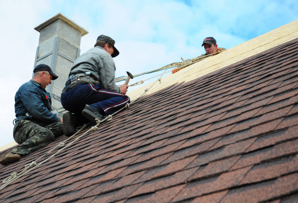 Best Roof Gutter Cleaning  in Grand Ronde, OR